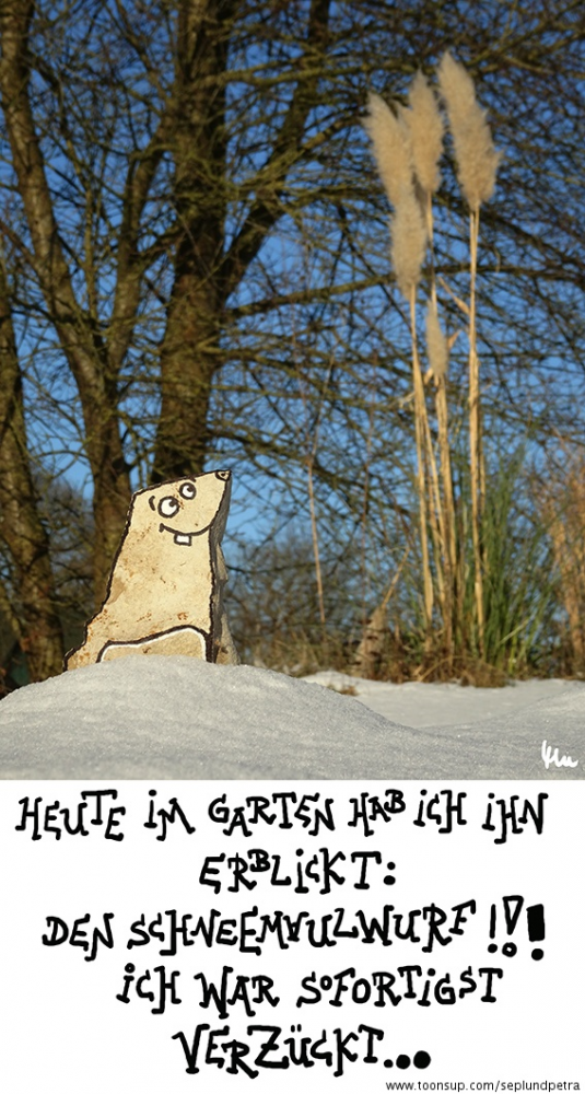 Cartoon: Winter im Garten 1 1