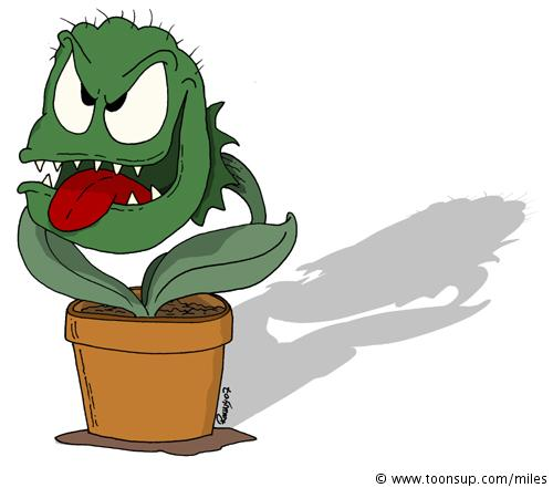 Cartoon: Fleischfressende Pflanze - Toonsup